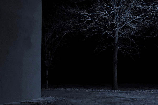 La notte dietro casa