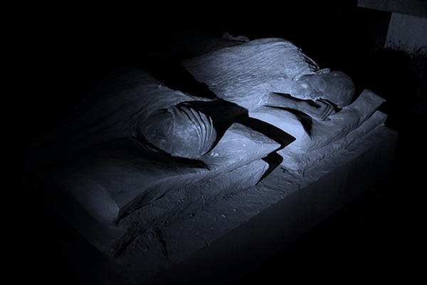 La notte dietro casa
