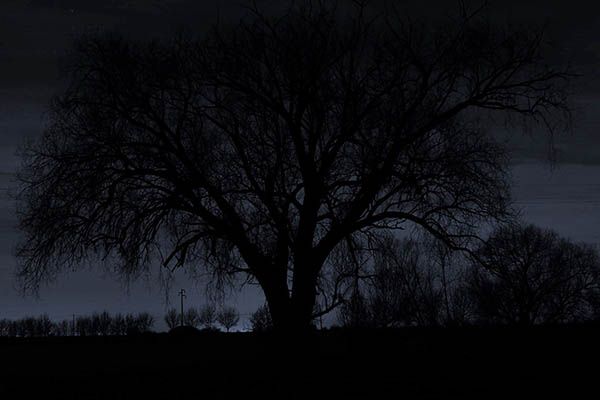 La notte dietro casa