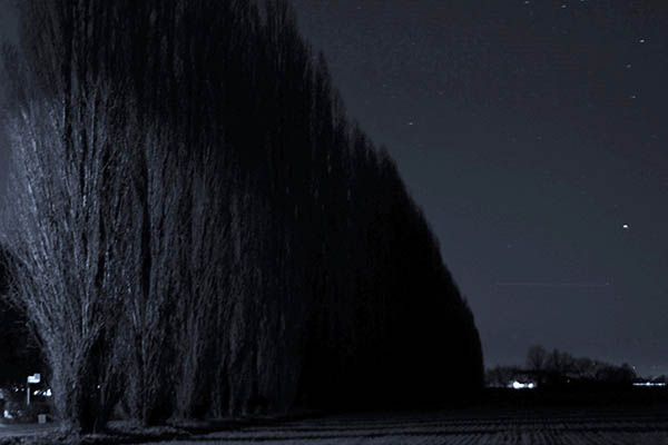 La notte dietro casa